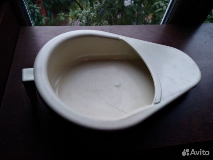 Утка медицинская 