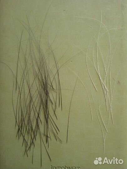 Усы кота для творчества