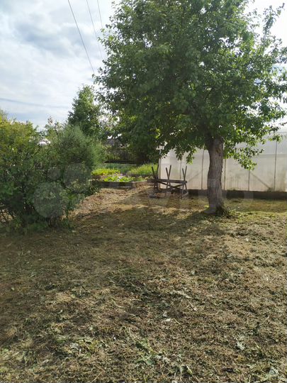 Дача 25 м² на участке 3,8 сот.