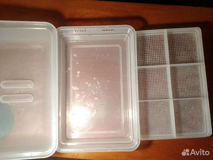 Лоток проращиватель для микрозелени