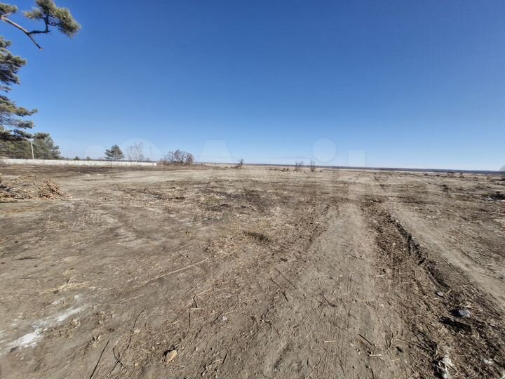 Участок 5 га (промназначения)