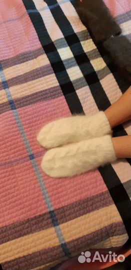 Собачий пух и шерсть