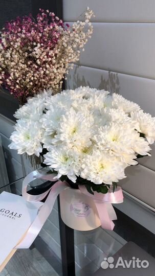 Букет хризантем. Цветы. Букеты