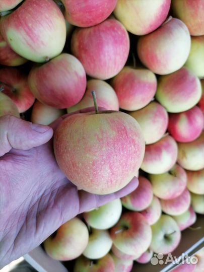 Доставка овощей и фруктов