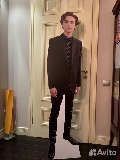 Картонная фигура Тимоти Шаламе