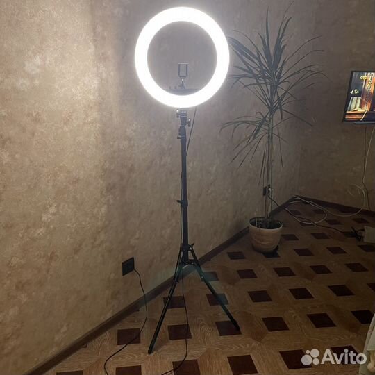 Профессиональная кольцевая лампа Fosoto