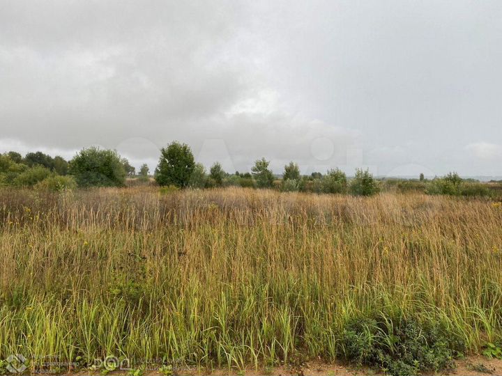 Участок 3,59 га (СНТ, ДНП)