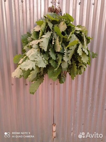 Банные веники дуб, береза