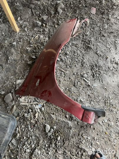 Калина корыло