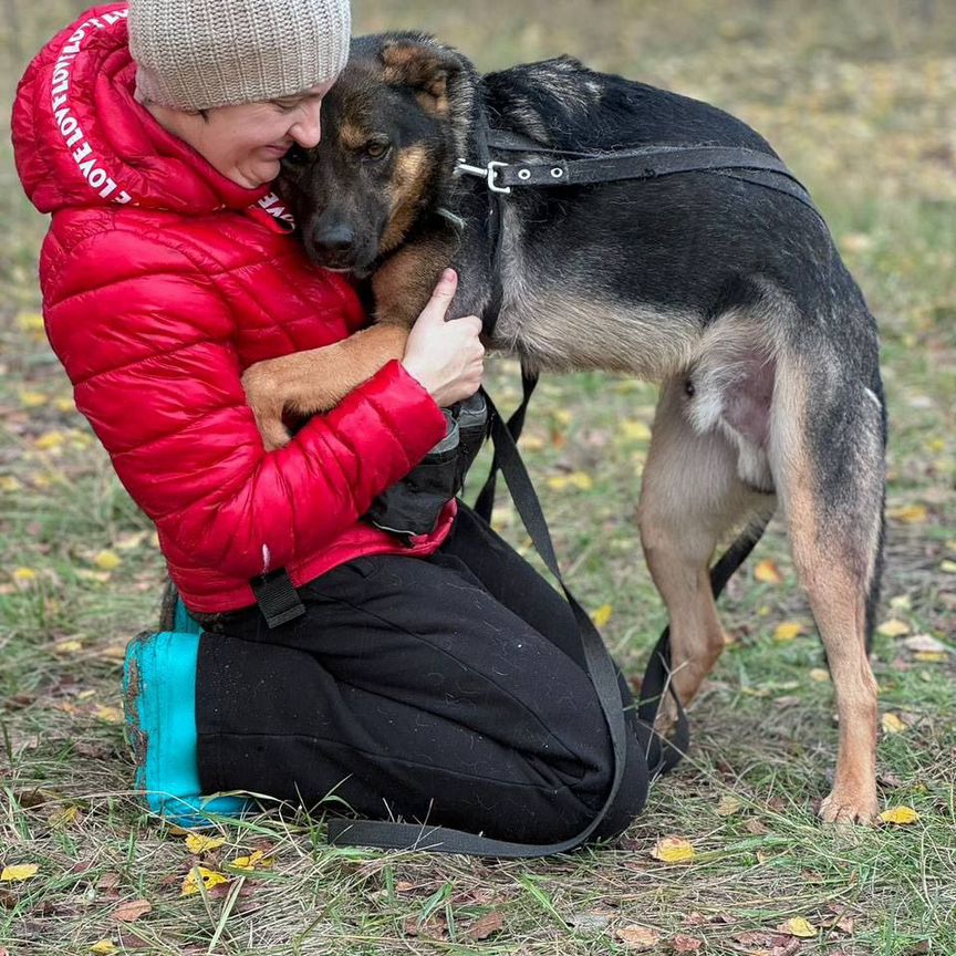 Брют-собака обнимака ждет именно Тебя