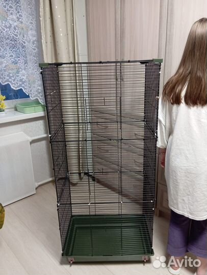 Большая клетка