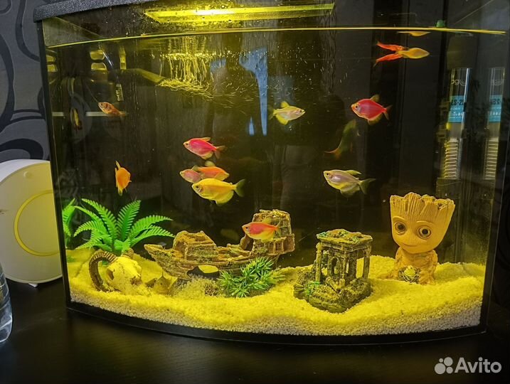Аквариум