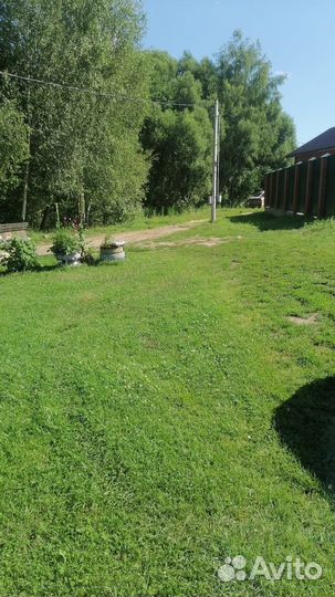 Покос травы триммером