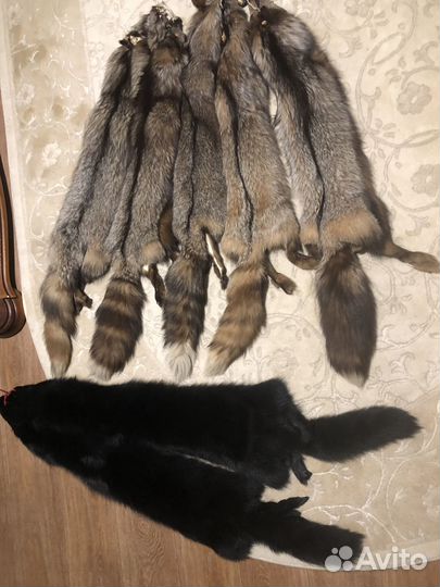 Шкура енота