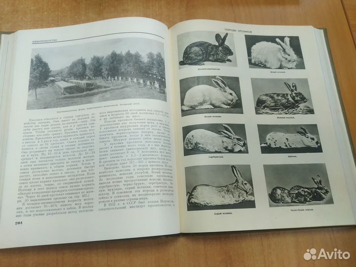 Энциклопедии