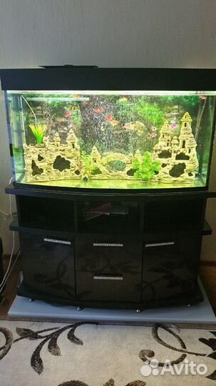 Аквариум