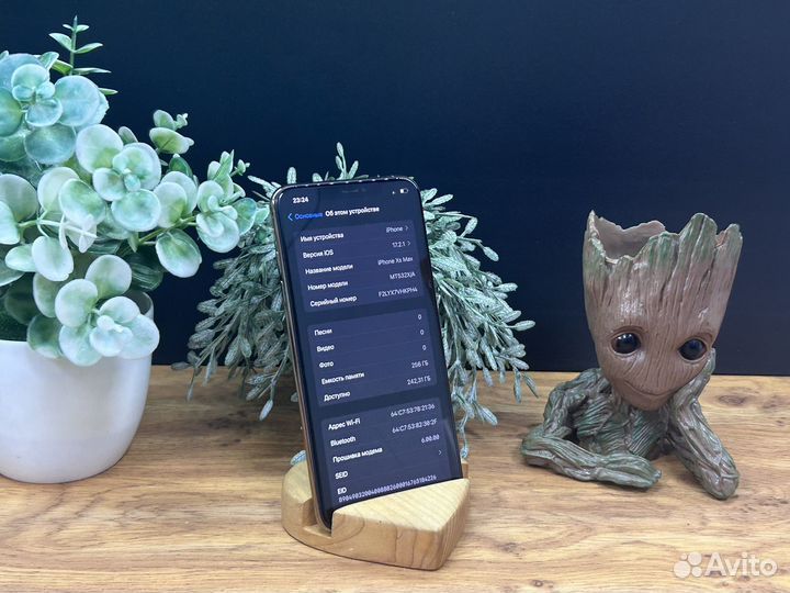 iPhone Xs Max, 256 ГБ
