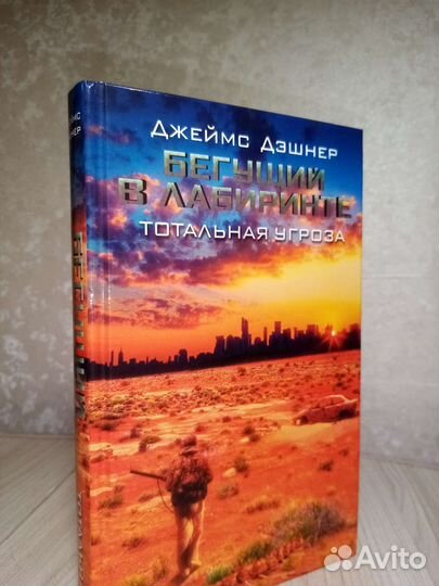 Бегущий в лабиринте