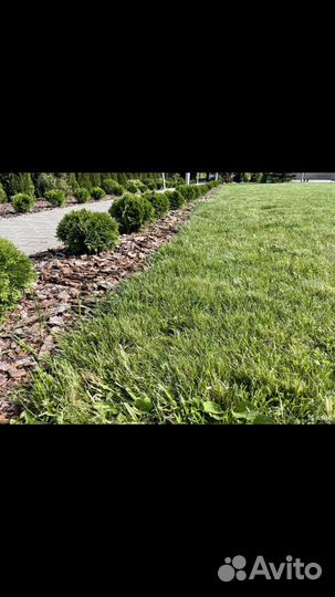 Грунт Земля на заказ с доставкой