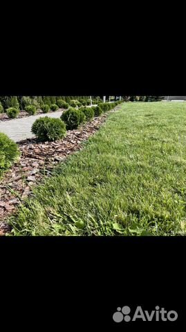 Грунт Земля на заказ с доставкой