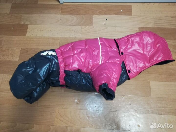 Зимняя куртка для собаки