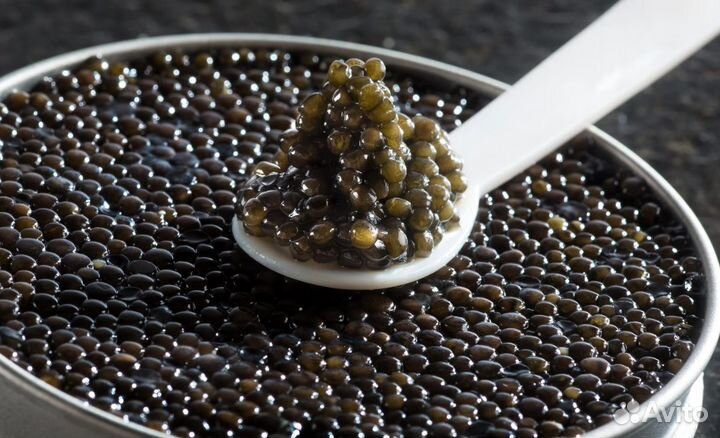 Стикеровщик на склад икры