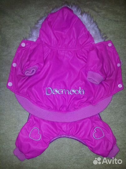 Переноска, PA, свитер, щетка, шапка, комбинезон