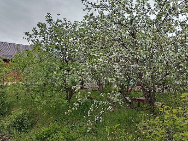 Участок 6 сот. (СНТ, ДНП)