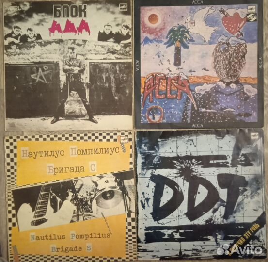 Кино, Пикник, Наутилус, Аквариум