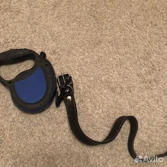 Поводки для собак