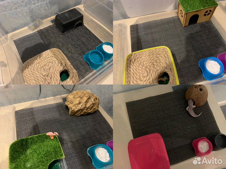 Передержка рептилий (гекконов)