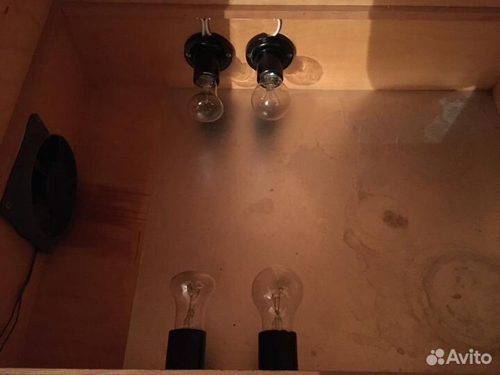 Инкубатор для яиц