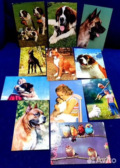 Открытки Календари Кошки Собаки Животные Раритет
