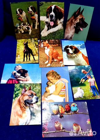 Открытки Календари Кошки Собаки Животные Раритет