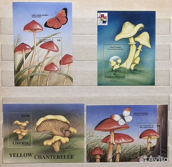 Марки Флора Цветы Грибы Орхидеи