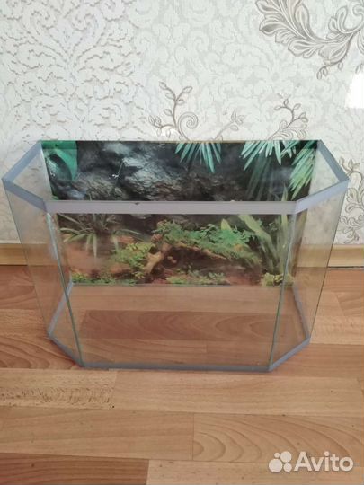 Террариум на Парковом