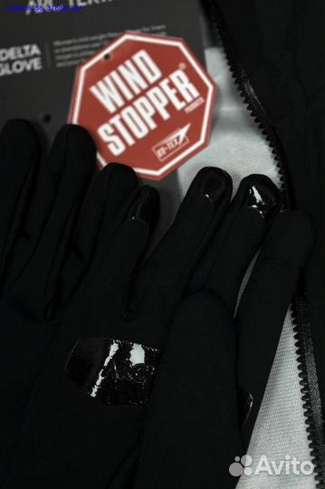 Перчатки Arcteryx (Арт.96656)