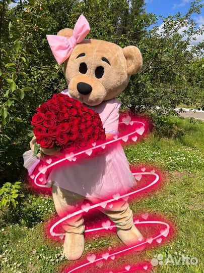 Ростовая кукла. Мишка. Аниматор. Поздравление