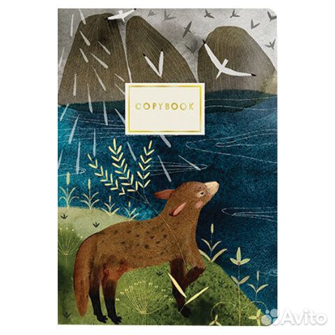 Тетрадь евро А5 40 л. bruno visconti сшивка, клетк