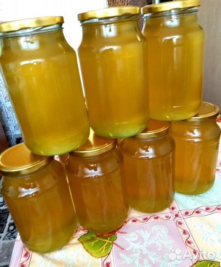 Мед липовый Башкирский