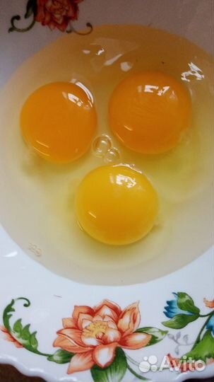 Домашние куриные, перепелиные яйца