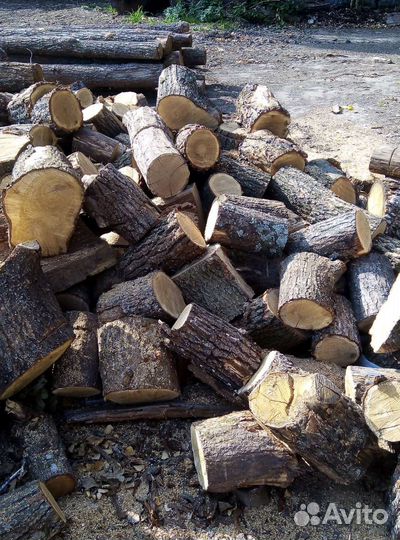 Дрова дубовые колотые и неколотые, обрезки, опилки