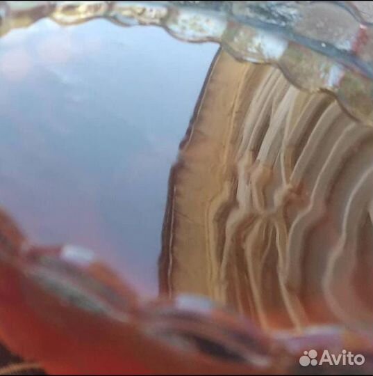 Мед молочаевий