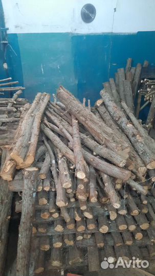 Можжевельник