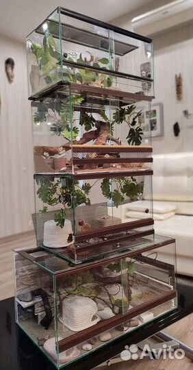 Террариум для рептилий