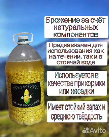 Пьяная ферментированная кукуруза