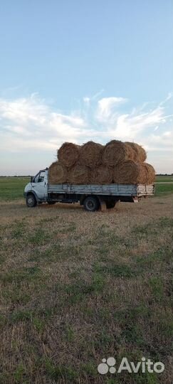 Сено в рулонах