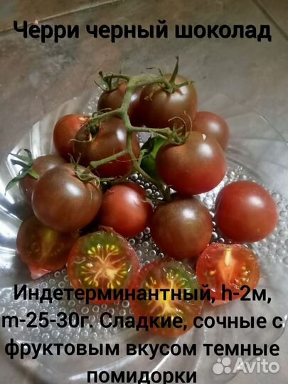 Семена коллекционных томатов Черри