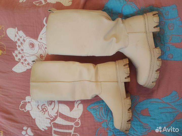 Сапоги женские демисезонные