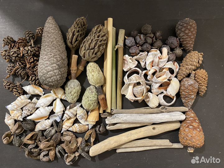 009 - шишки, ракушки, бамбук набор